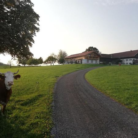Sonnenhub Daire Irschenberg Dış mekan fotoğraf