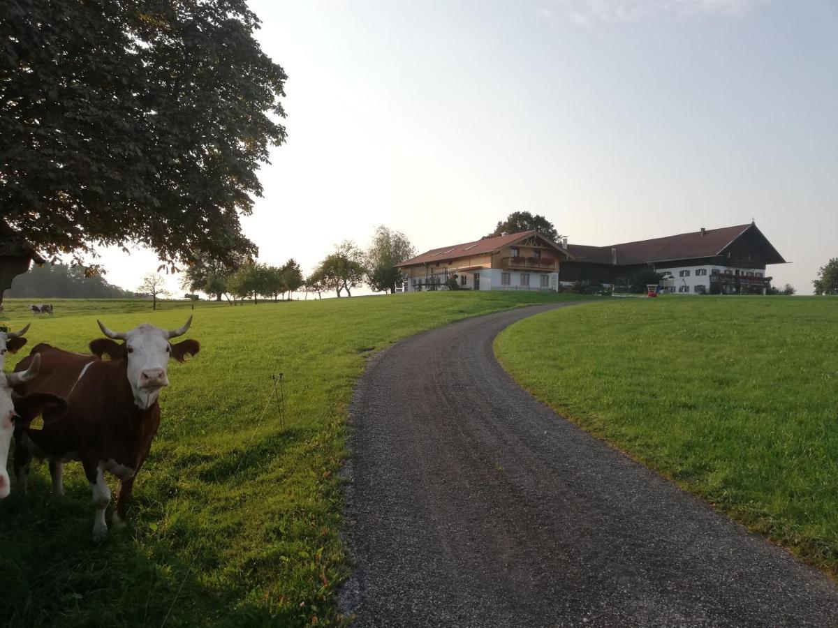 Sonnenhub Daire Irschenberg Dış mekan fotoğraf